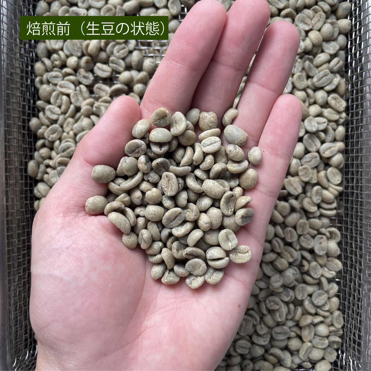［おまかせ］コーヒー豆の定期便【送料無料】