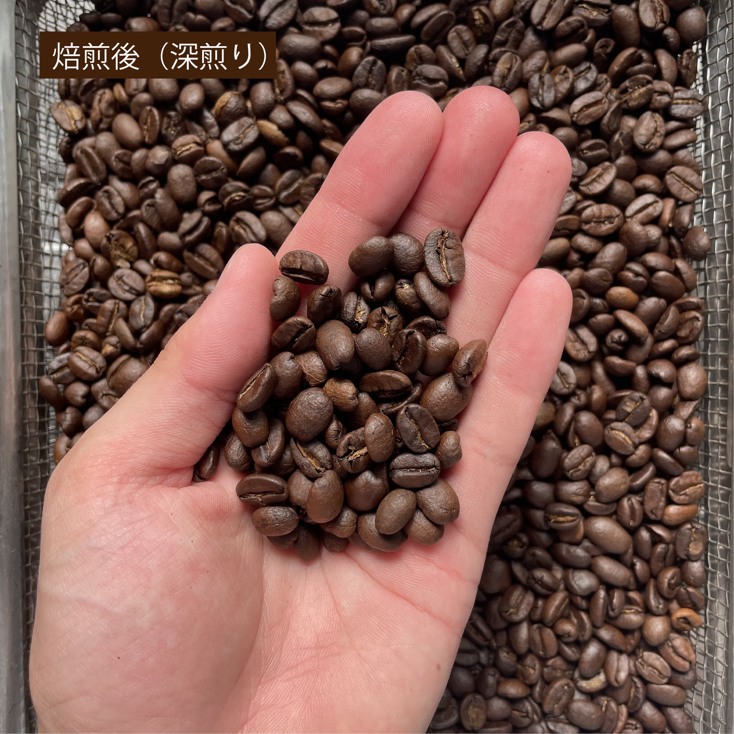 ［コロンビア］コーヒー豆の定期便【送料無料】