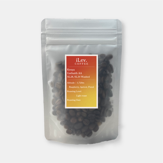 ケニア ガタイティ AA ウォッシュド［浅煎り］